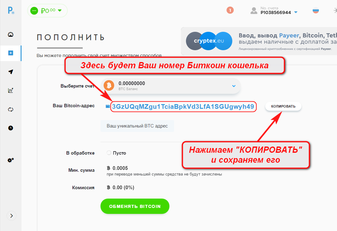 Регистрация аккаунта Payeer для Биткоин